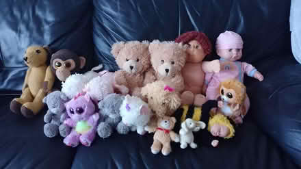 Photo of free Teddy and doll bundle (HP3) #1