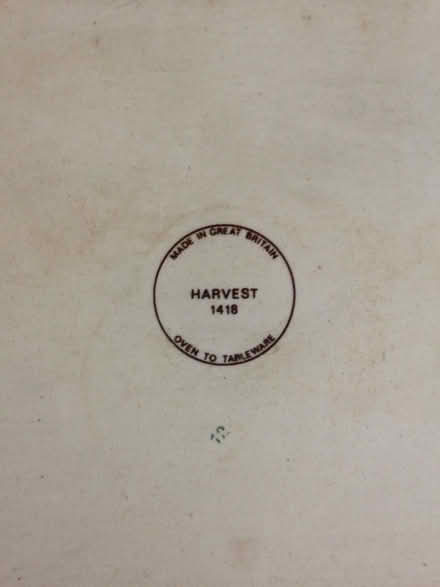 Photo of free M&S Harvest crockery (Oakridge RG21) #2