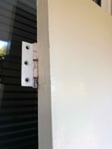 Photo of free Plain white interior door (East Carleton NR14) #3