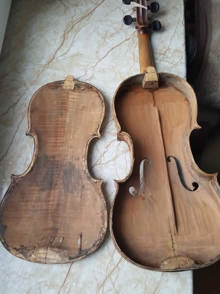 Photo of violin (Washington DC) #1