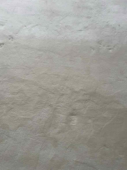 Photo of free Luxury thick carpet (Purley CR8) #2