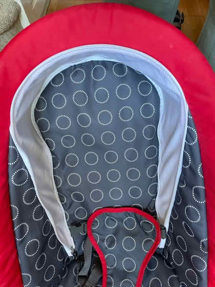 Photo of free Little Tykes Baby Bouncer (Gravelly Hill B24) #4