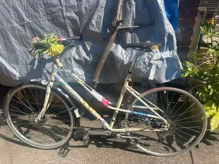 Photo of free Genesis bike- used but good (S6 Hillsborough) #1