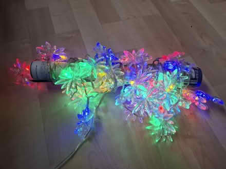 Photo of free Christmas fairy lights (Westquarter, Falkirk FK2) #1