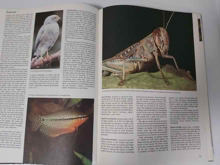 Photo of free Animal Encyclopedia (Woolton L25) #3