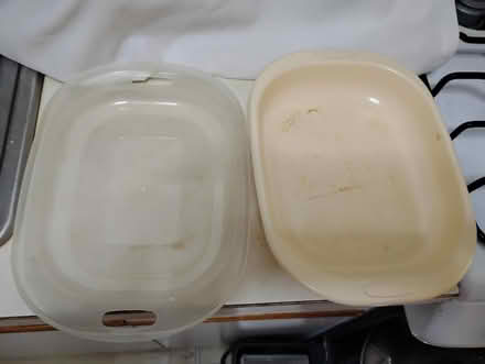 Photo of free Plastic Food Container (West Harlem) #3