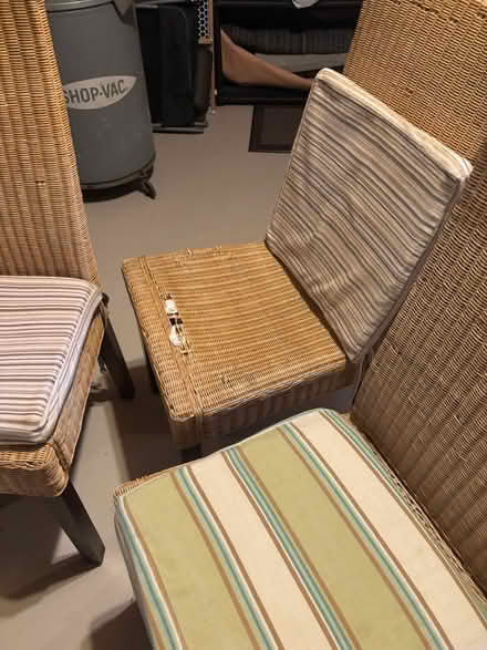 Photo of free 6 Rattan dining chairs (RiverOaks, Oakville) #3