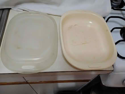 Photo of free Plastic Food Container (West Harlem) #2