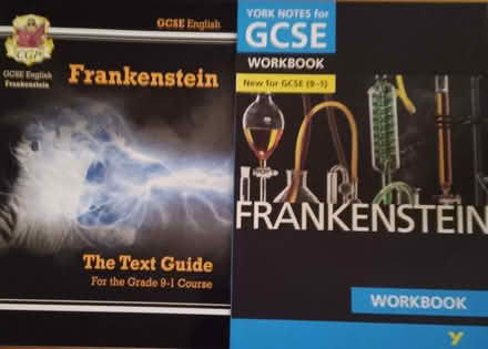 Photo of free 2 Frankenstein GCSE study guides (Baildon BD17) #1