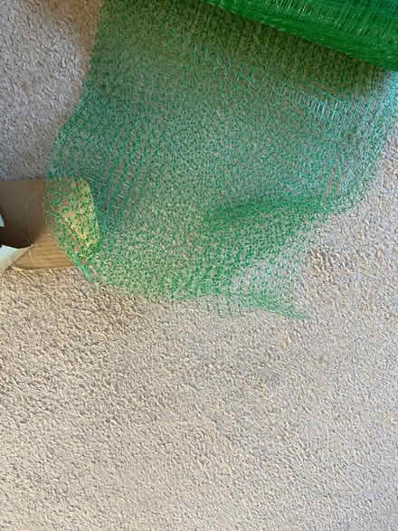 Photo of free Netting for fruit or other crops (Bussage GL6) #2
