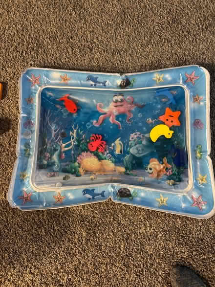Photo of free Tummy time water mat (Old Mill Grove Rd playground) #1