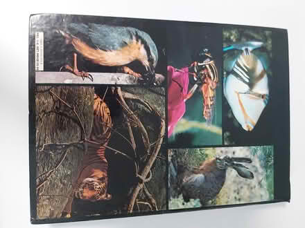Photo of free Animal Encyclopedia (Woolton L25) #2