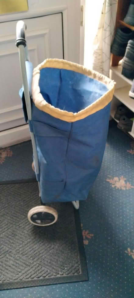 Photo of free Shipping trolly / sholly (Wollaton NG8) #1