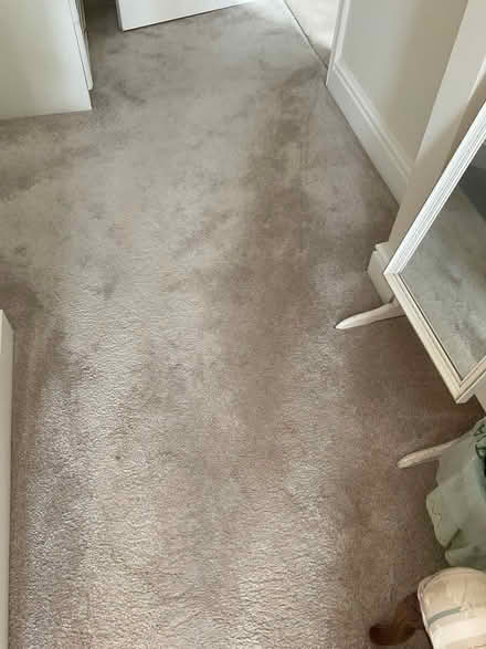 Photo of free Carpet offcut #1 (Monkston Park MK10) #1