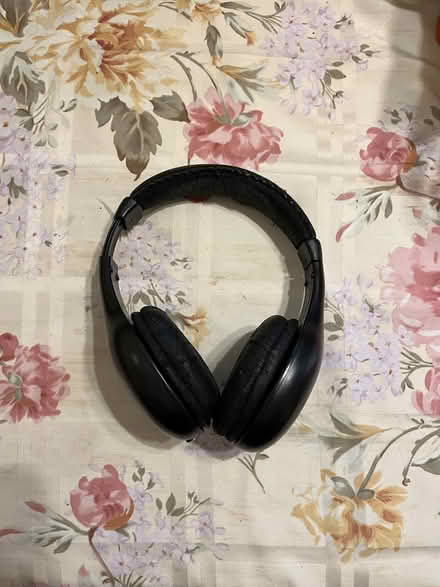Photo of free Wired earphones, worn (Maywood Park Santa Clara) #1