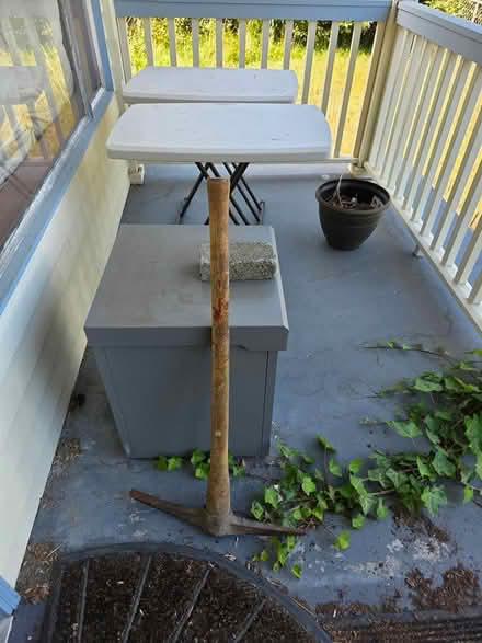 Photo of free PIck axe (Central District/Madrona) #1