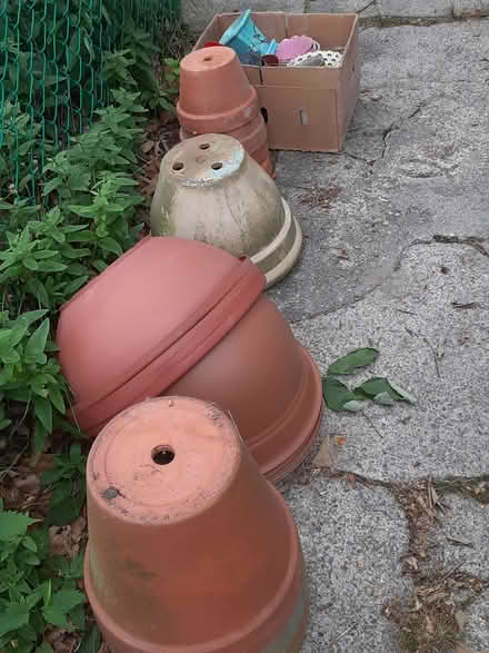 Photo of free Pots for plants (Jamaica Plain) #1