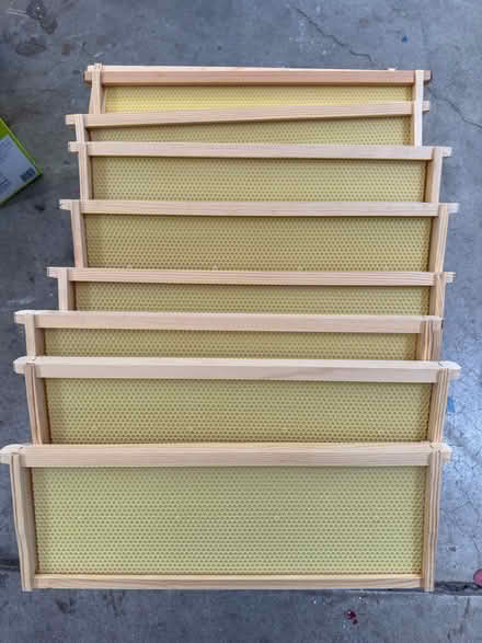 Photo of free 8 Beekeeping Frames (South San Jose) #1