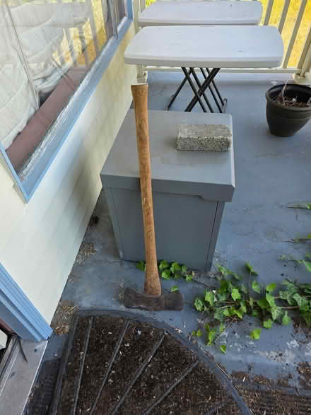 Photo of free Axe (Central District/Madrona) #1