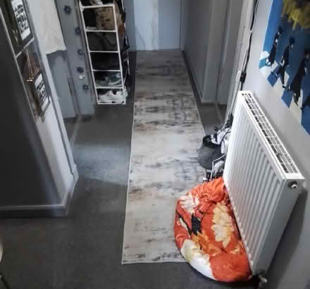 Photo of free Hallway Runner Rug (Granton EH5) #1