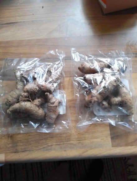 Photo of free 2 x fresh turmeric (Killamarsh S21) #2