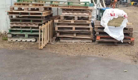 Photo of free Wooden Pallets (Hill Head PO14) #1