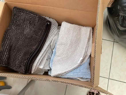 Photo of free Bath Mats & Pedestal Mat (Saham Toney IP25) #1