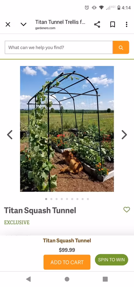 Photo of free Garden Arch support (gulf cove) #1