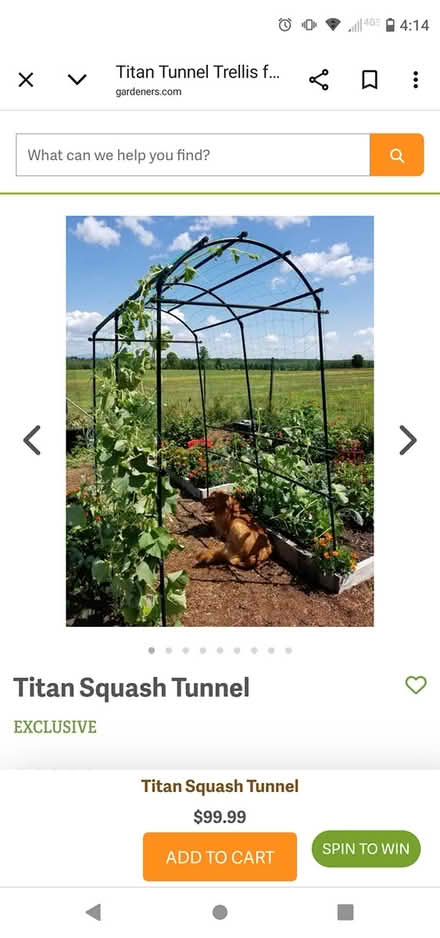 Photo of free Garden Arch support (gulf cove) #1