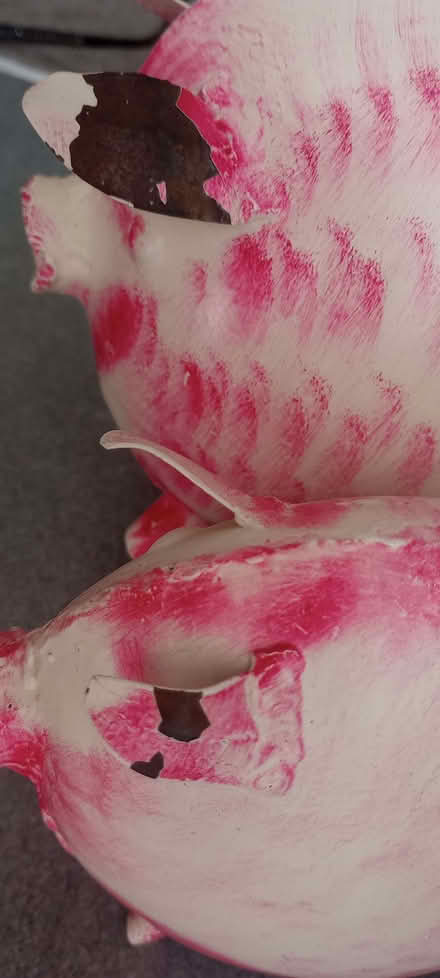 Photo of free Two pink pigs 🩷 (Saint George's CO2) #2