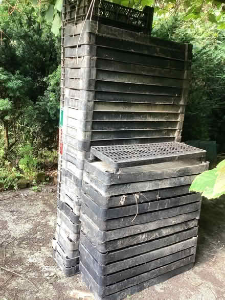 Photo of free Heavy duty black plastic greenhouse shelving (Ludford SY8) #2