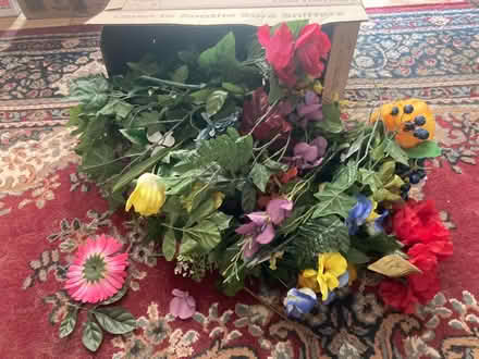 Photo of free Silk flowers (Creve Couer) #1