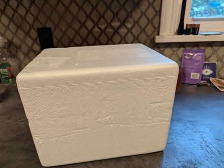 Photo of free Styrofoam cooler, six-pack sized (Seattle Bitter Lake) #1
