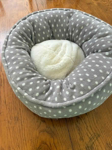 Photo of free Cat Bed (IV63 Lewiston) #1