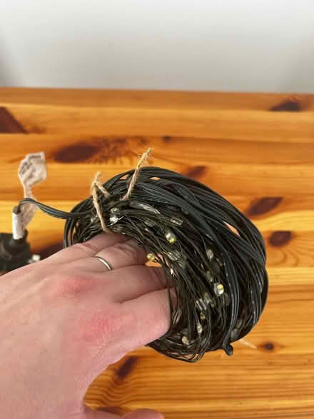 Photo of free Fairy Lights (Wollaton NG9) #3