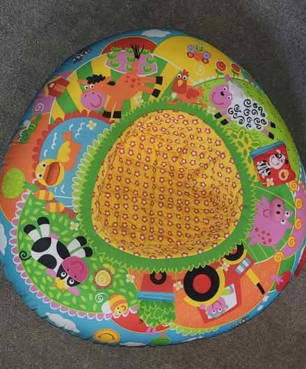 Photo of free Playnest farm sit me up baby (Near morland CA10) #1