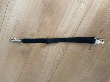 Photo of free Dog seatbelt (Larkhall ML9) #1