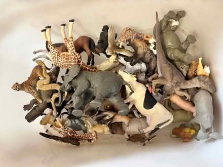Photo of free Collection of model animals (Central Tonbridge TN9) #1