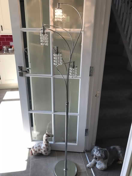 Photo of free Lamp from next (Loscoe) #1