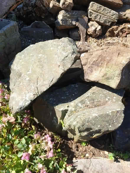 Photo of free Large Rockery & concrete planters (ME16 - Allington) #2