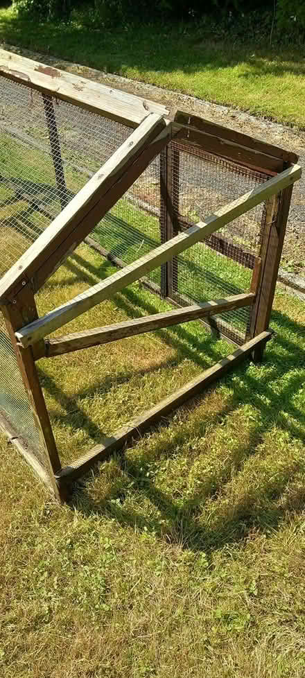 Photo of free chicken run (Builth Wells) #3