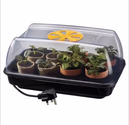 Photo of Heated propagator (Clevedon BS21) #1