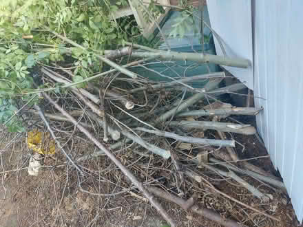 Photo of free Tree Wood for burning (Guide Bridge OL7) #2