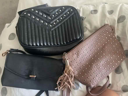 Photo of free 3 x bags (Stanway, CO3) #1
