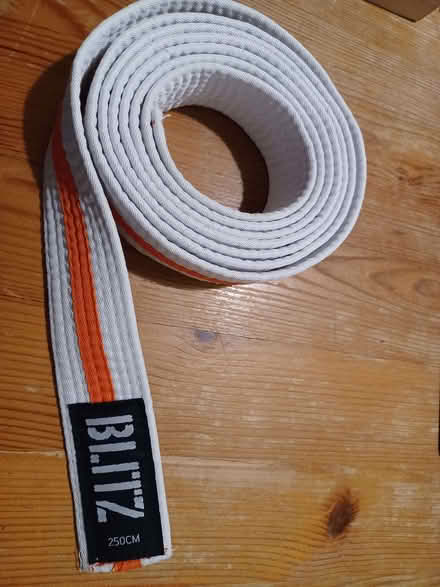 Photo of free Blitz 250cm belt for Taekwondo (Oxford-Freegle CGA OX2) #1