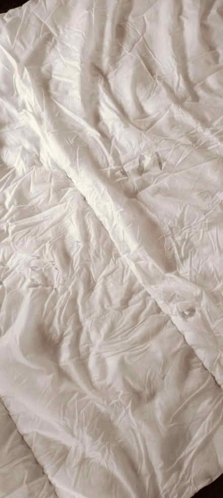 Photo of free Two single duvets (Sw48hd) #4