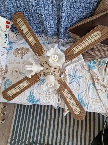 Photo of free Ceiling fan with light (Portsmouth PO3) #2