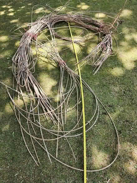 Photo of free Cane, flexible for weaving (DE22 3AD) #1