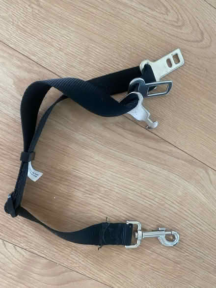 Photo of free Dog seatbelt (Larkhall ML9) #2