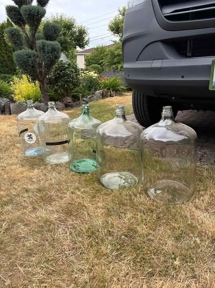 Photo of free Carboys (Beacon Hill) #1